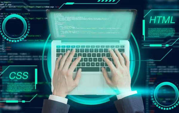 Disseny web professional: desenvolupament web funcional i optimitzada